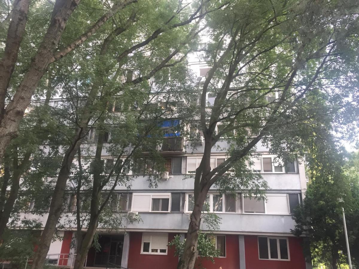 Apartment Ljiljana Belgrad Exterior foto